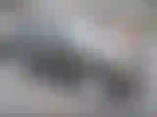 Vehicle Image- 2015 Jeep Patriot