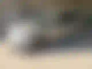 Vehicle Image- 2017 Jeep Grand Cherokee