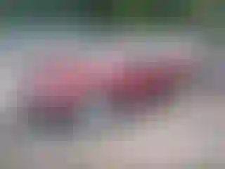 IMPORTOWO.pl