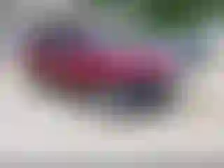 IMPORTOWO.pl