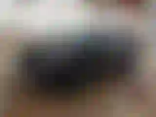 Vehicle Image- 2017 Jeep Grand Cherokee