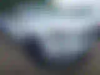 Vehicle Image- 2019 Jeep Cherokee