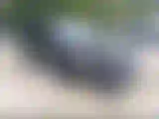 Vehicle Image- 2014 Dodge Durango