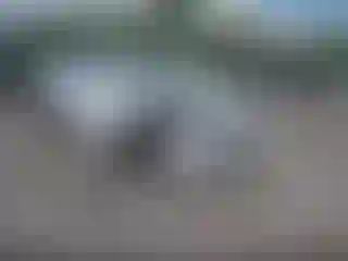 Vehicle Image- 2020 Dodge Durango