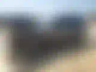 Vehicle Image- 2021 Dodge Durango