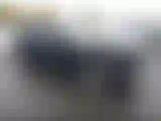 Vehicle Image- 2024 Dodge Durango