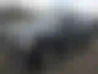 Vehicle Image- 2017 Dodge Durango