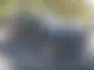 Vehicle Image- 2014 Dodge Durango