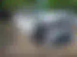 Vehicle Image- 2021 Dodge Durango