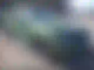 Vehicle Image- 2021 Dodge Durango