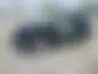 Vehicle Image- 2025 Dodge Durango