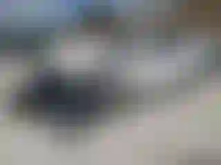 Vehicle Image- 2020 Dodge Durango