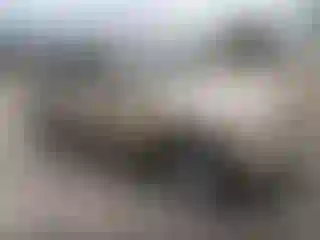 Vehicle Image- 2012 Jeep Grand Cherokee