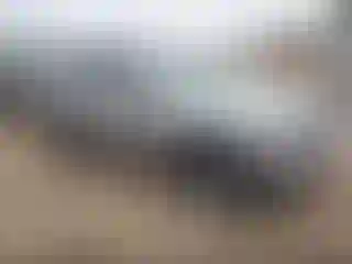 Vehicle Image- 2014 Jeep Grand Cherokee