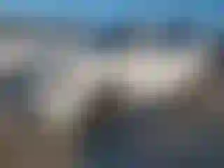 Vehicle Image- 2014 Jeep Grand Cherokee