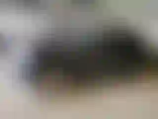 Vehicle Image- 2013 Jeep Grand Cherokee