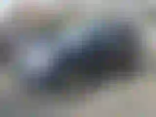 Vehicle Image- 2012 Jeep Grand Cherokee