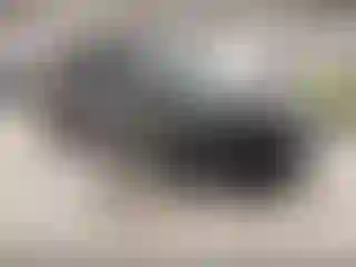 Vehicle Image- 2021 Jeep Grand Cherokee