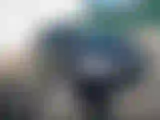 Vehicle Image- 2013 Jeep Grand Cherokee