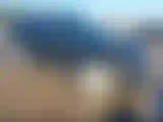 Vehicle Image- 2014 Jeep Grand Cherokee