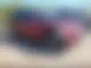 Vehicle Image- 2016 Jeep Grand Cherokee