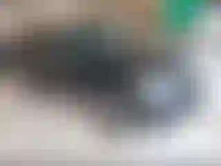 Vehicle Image- 2017 Jeep Grand Cherokee