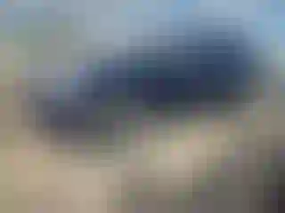 Vehicle Image- 2012 Jeep Grand Cherokee