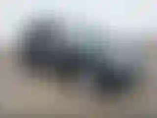 Vehicle Image- 2012 Jeep Grand Cherokee