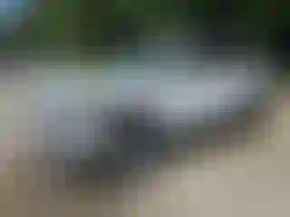 Vehicle Image- 2025 Jeep Grand Cherokee