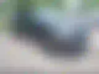 Vehicle Image- 2024 Jeep Grand Cherokee