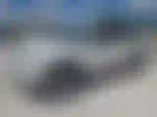 Vehicle Image- 2021 Jeep Grand Cherokee