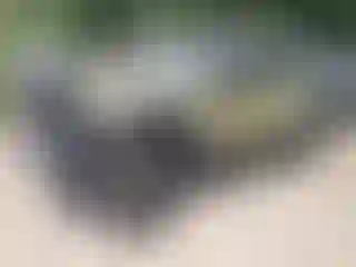 Vehicle Image- 2025 Jeep Wrangler