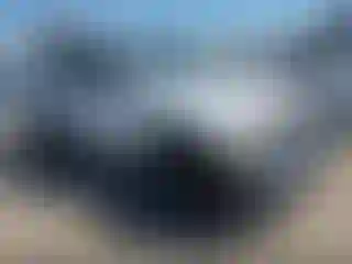 Vehicle Image- 2024 Jeep Wrangler