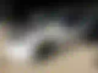 Vehicle Image- 2022 Dodge Durango