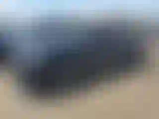 Vehicle Image- 2023 Dodge Durango