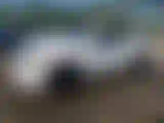 Vehicle Image- 2020 Dodge Durango