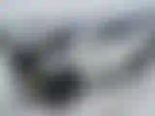 Vehicle Image- 2020 Dodge Durango