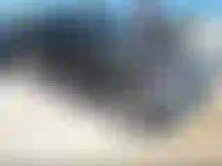 Vehicle Image- 2020 Jeep Gladiator