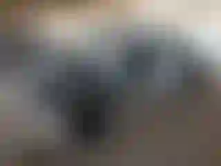 Vehicle Image- 2023 Jeep Gladiator