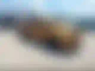 Vehicle Image- 2012 RAM 1500