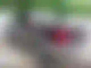 IMPORTOWO.pl