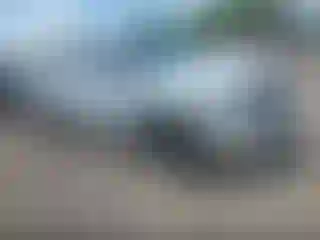 Vehicle Image- 2019 RAM 1500