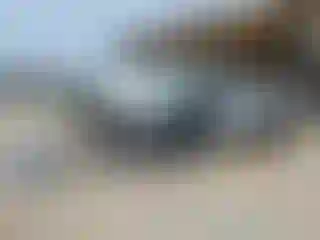 Vehicle Image- 2014 RAM 1500
