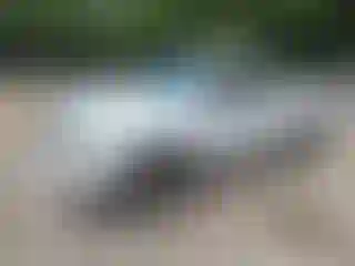 Vehicle Image- 2019 RAM 1500