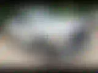 Vehicle Image- 2020 RAM 1500