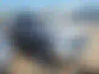 Vehicle Image- 2022 RAM 1500