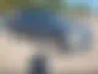 Vehicle Image- 2013 RAM 1500