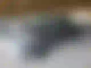 Vehicle Image- 2019 RAM 1500