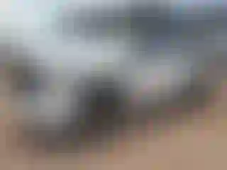 Vehicle Image- 2017 RAM 1500