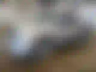 Vehicle Image- 2015 RAM 1500